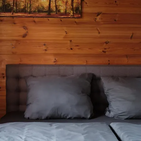 Vakantiehuis Holzblockhaus, Eifel